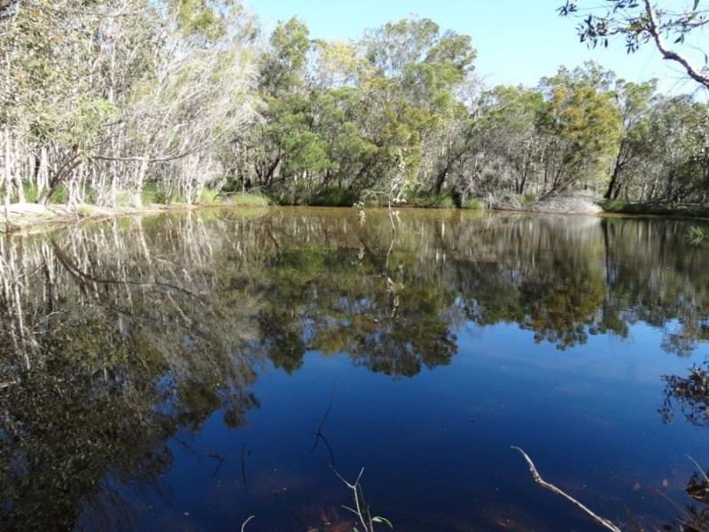 263 Fingerfield Road, Rules Beach QLD 4674