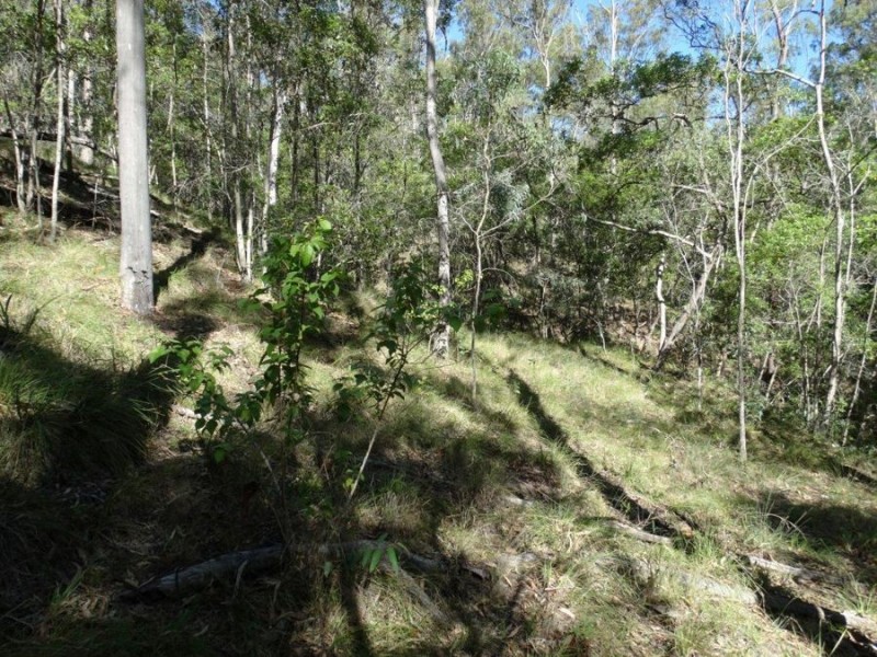 Lot 4 Monduran Road, Monduran QLD 4671