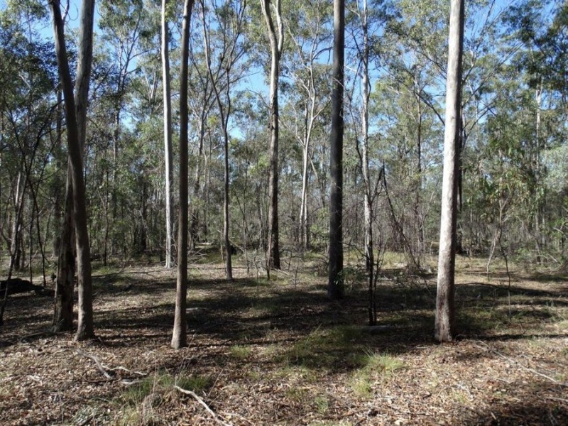 Lot 4 Monduran Road, Monduran QLD 4671