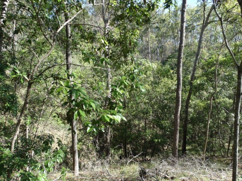 Lot 4 Monduran Road, Monduran QLD 4671