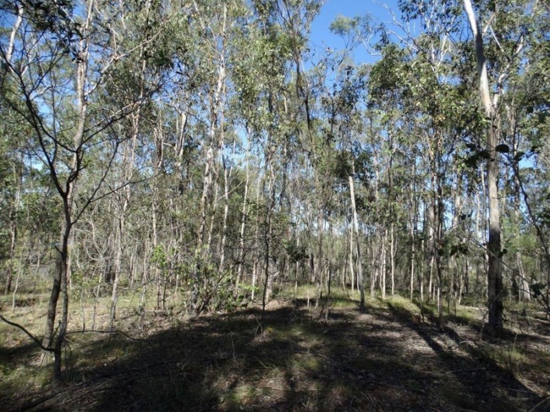 Lot 4 Monduran Road, Monduran QLD 4671