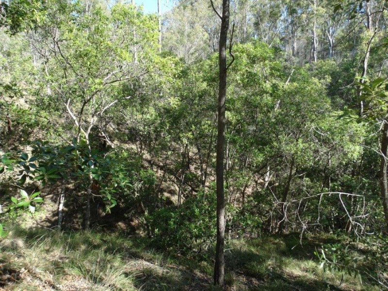 Lot 4 Monduran Road, Monduran QLD 4671