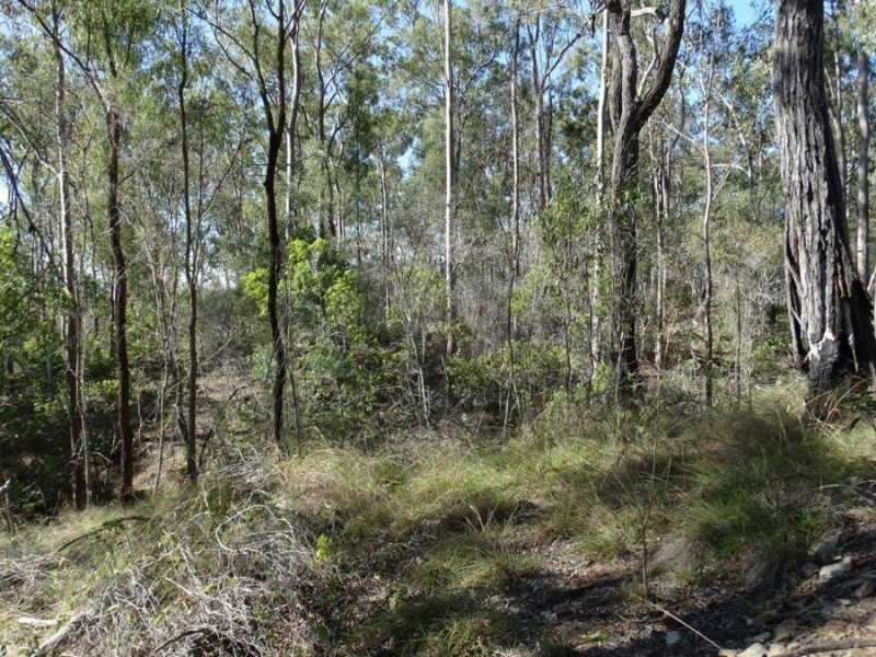 Lot 4 Monduran Road, Monduran QLD 4671