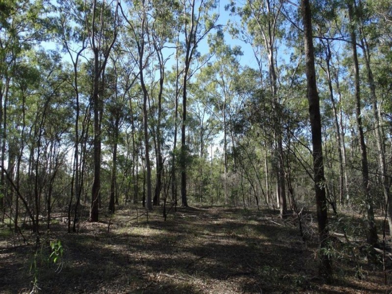 Lot 4 Monduran Road, Monduran QLD 4671