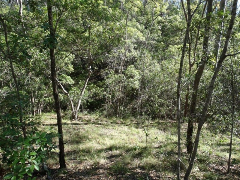 Lot 4 Monduran Road, Monduran QLD 4671