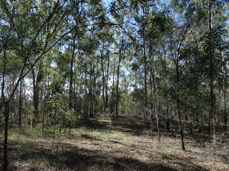 Lot 4 Monduran Road, Monduran QLD 4671