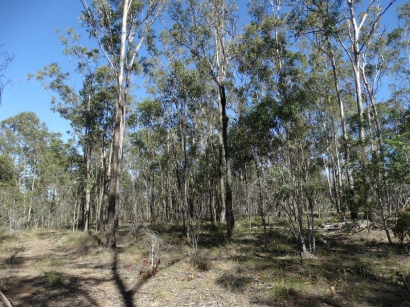 Lot 4 Monduran Road, Monduran QLD 4671