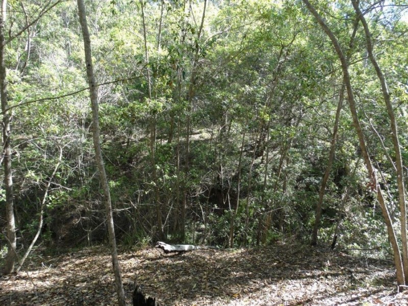 Lot 4 Monduran Road, Monduran QLD 4671