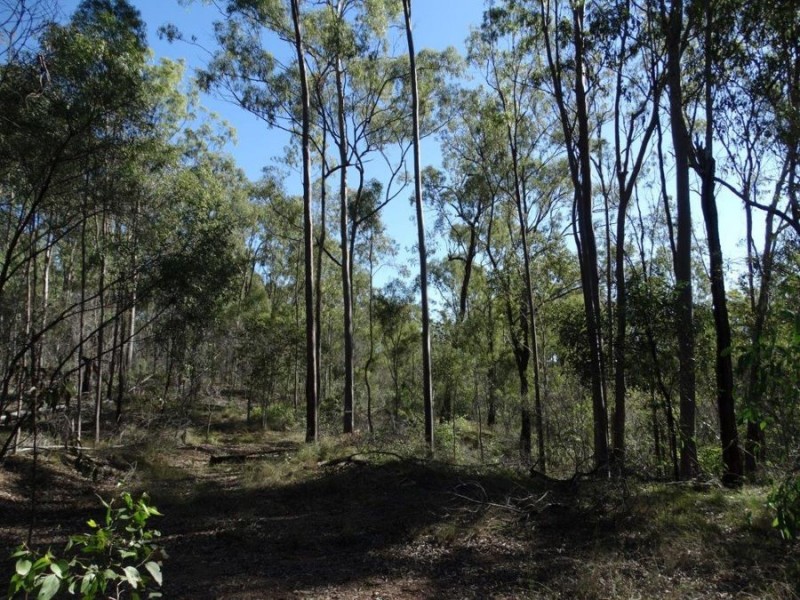 Lot 4 Monduran Road, Monduran QLD 4671