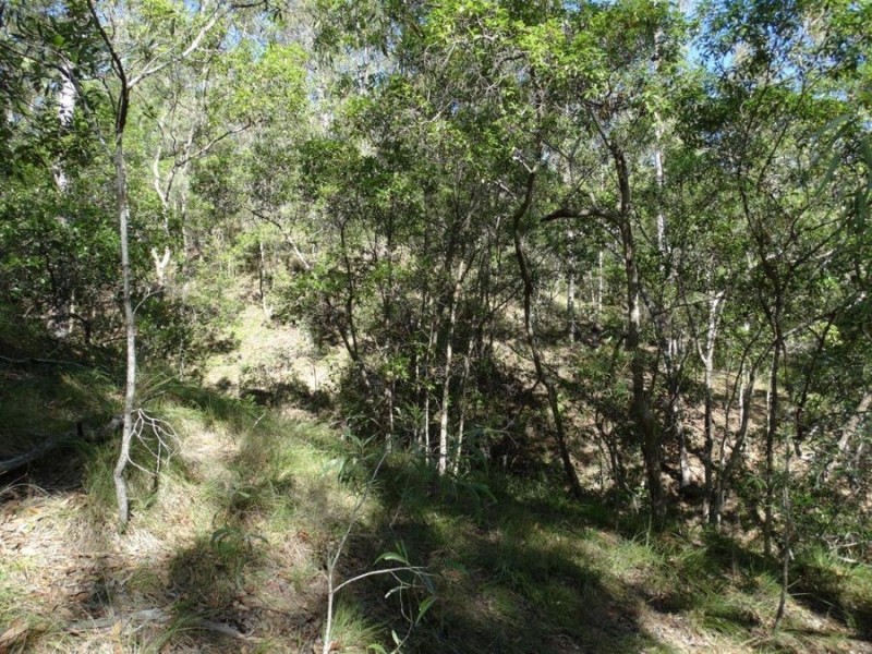Lot 4 Monduran Road, Monduran QLD 4671