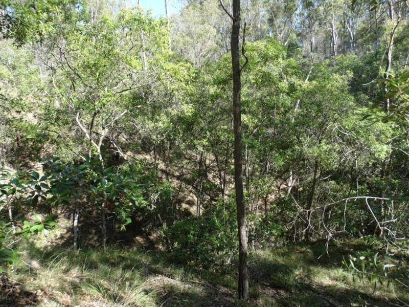 Lot 4 Monduran Road, Monduran QLD 4671