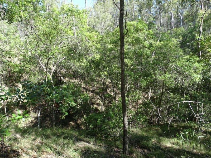 Lot 4 Monduran Road, Monduran QLD 4671