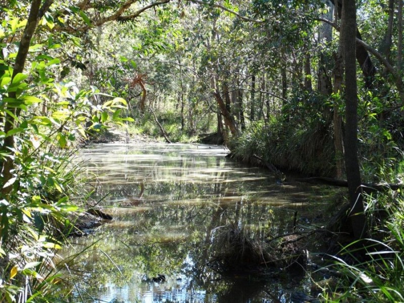 3537 Lowmead Road, Lowmead QLD 4676