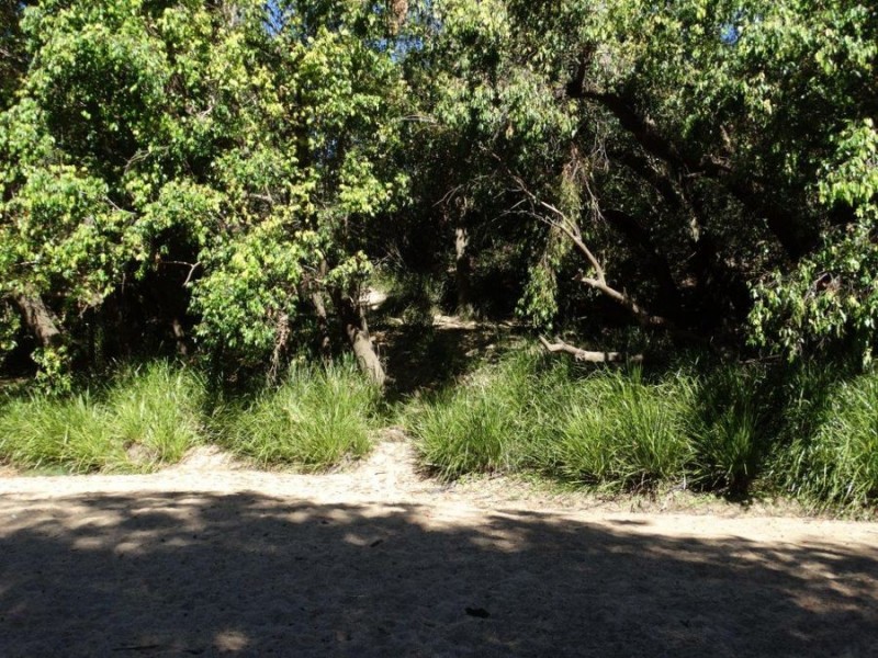 3537 Lowmead Road, Lowmead QLD 4676