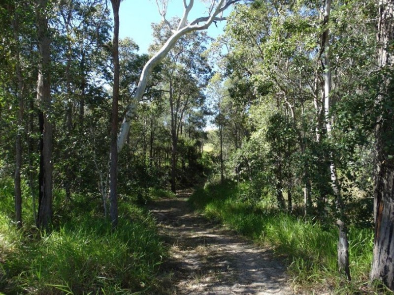 3537 Lowmead Road, Lowmead QLD 4676