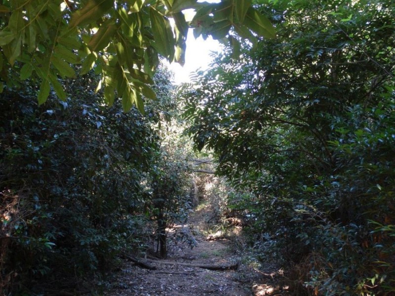 3537 Lowmead Road, Lowmead QLD 4676