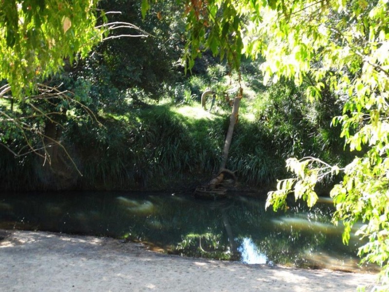 3537 Lowmead Road, Lowmead QLD 4676