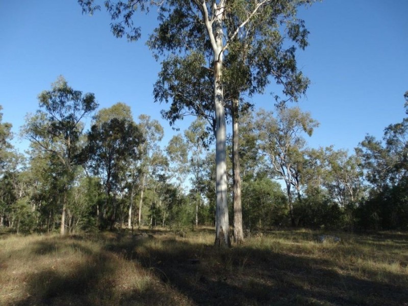 133 Cawthrays Road, Miriam Vale QLD 4677