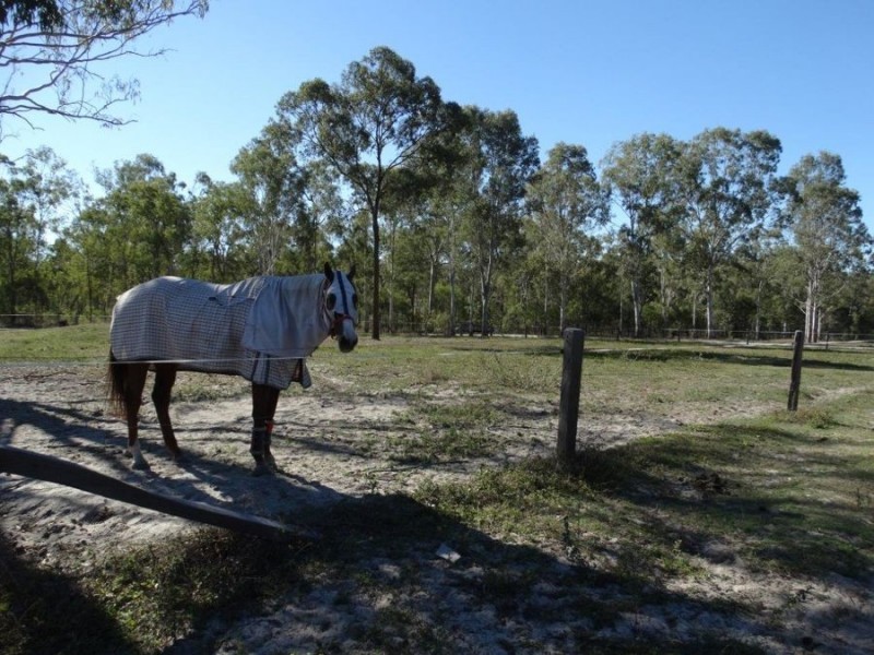 133 Cawthrays Road, Miriam Vale QLD 4677