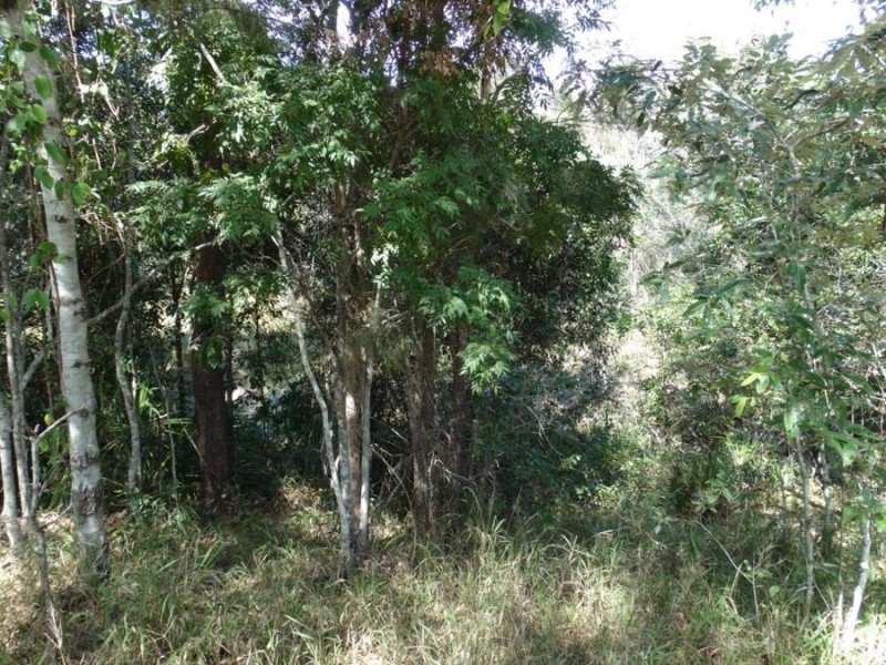11 Bindara Court, Yandaran QLD 4673
