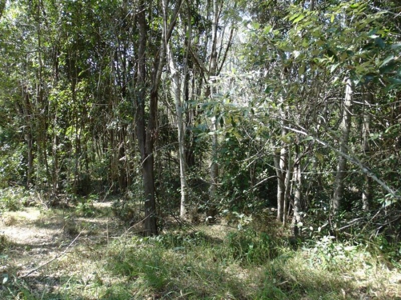 11 Bindara Court, Yandaran QLD 4673