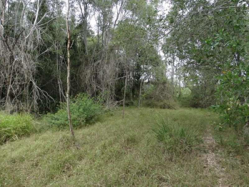 11 Bindara Court, Yandaran QLD 4673