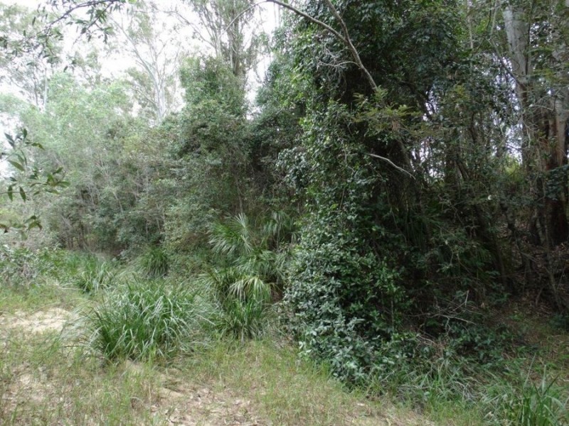 11 Bindara Court, Yandaran QLD 4673