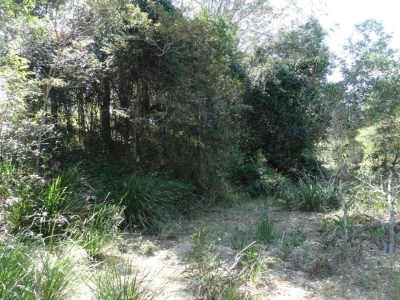 11 Bindara Court, Yandaran QLD 4673