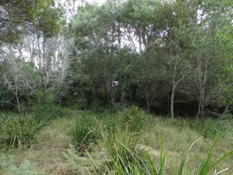 11 Bindara Court, Yandaran QLD 4673