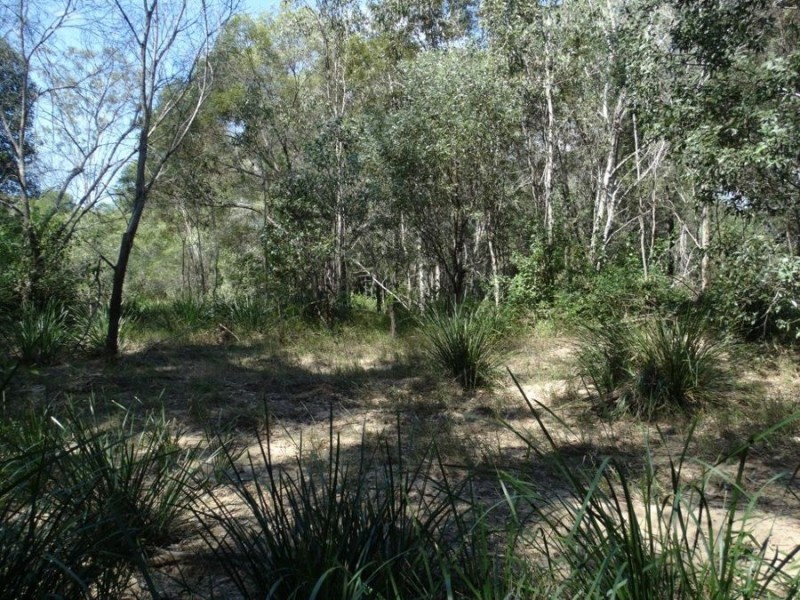 11 Bindara Court, Yandaran QLD 4673