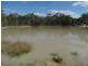 233 Pacific Drive, Deepwater QLD 4674
