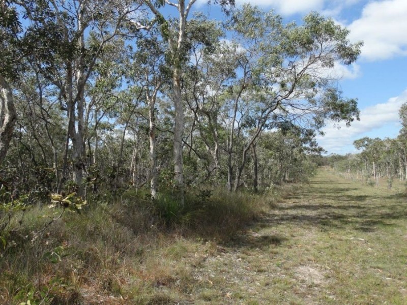 233 Pacific Drive, Deepwater QLD 4674