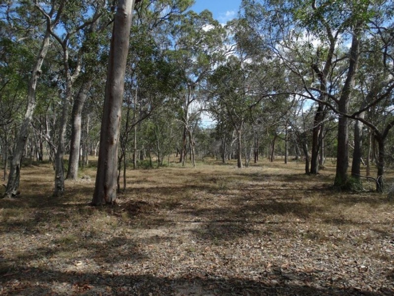 233 Pacific Drive, Deepwater QLD 4674