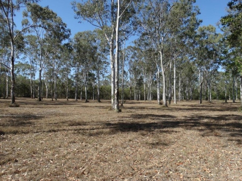 604 Coast Road, Baffle Creek QLD 4674