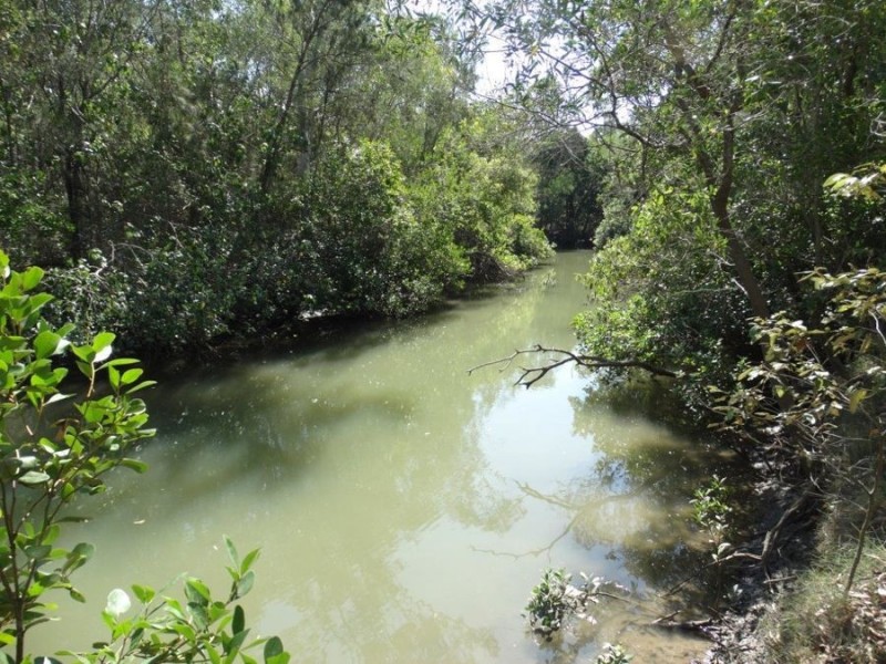 604 Coast Road, Baffle Creek QLD 4674