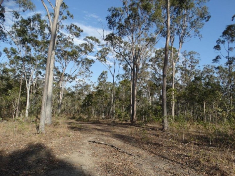 Lot 2 Hills Road, Euleilah QLD 4674