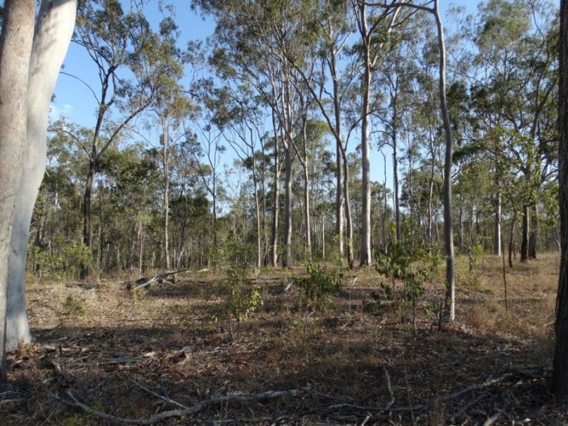 Lot 2 Hills Road, Euleilah QLD 4674
