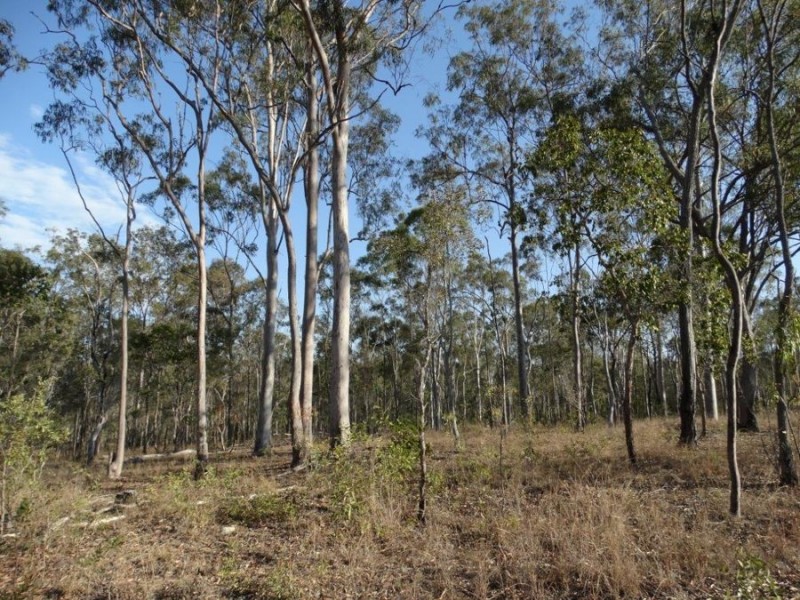 Lot 2 Hills Road, Euleilah QLD 4674
