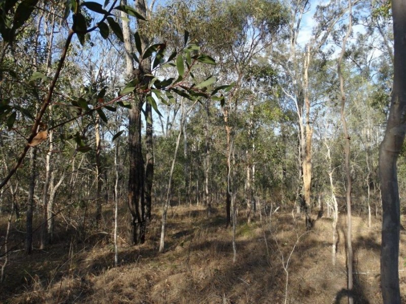 Lot 3 Hills Road, Euleilah QLD 4674