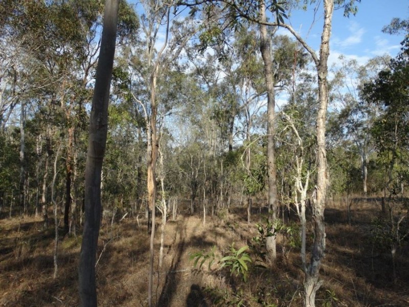 Lot 3 Hills Road, Euleilah QLD 4674