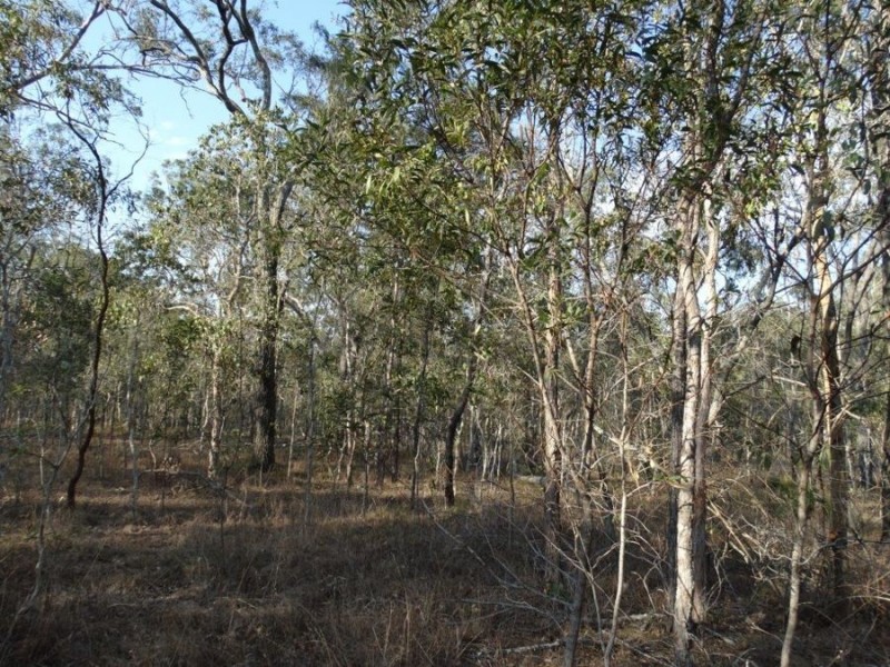 Lot 3 Hills Road, Euleilah QLD 4674