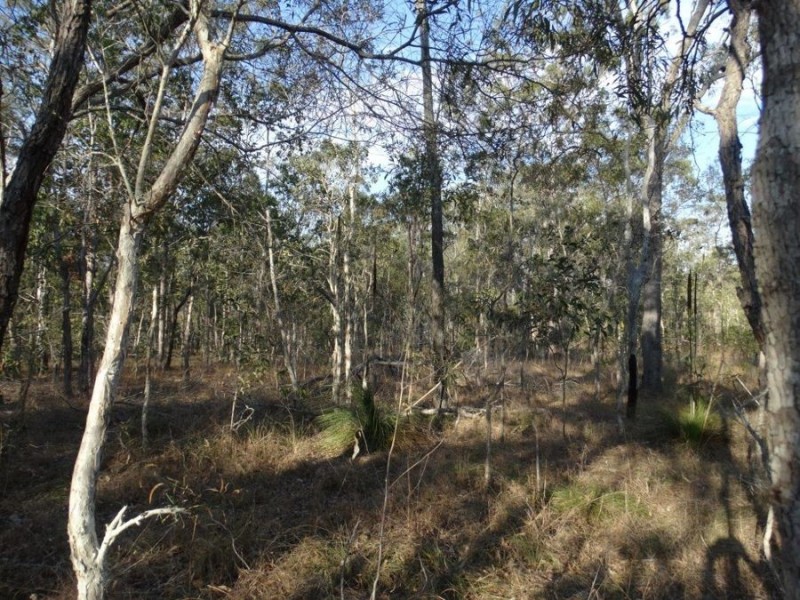 Lot 3 Hills Road, Euleilah QLD 4674
