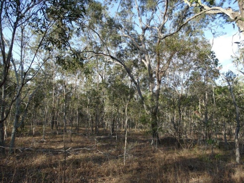 Lot 3 Hills Road, Euleilah QLD 4674