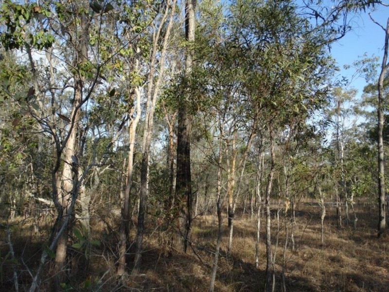 Lot 3 Hills Road, Euleilah QLD 4674