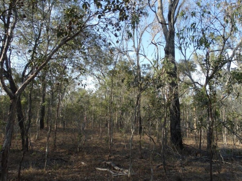 Lot 3 Hills Road, Euleilah QLD 4674