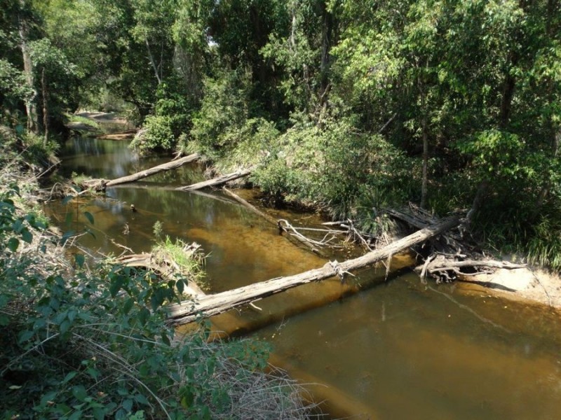 Lot 21 Beaumanor Road, Lowmead QLD 4676