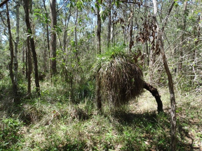 Lot 9 Muller Road, Baffle Creek QLD 4674