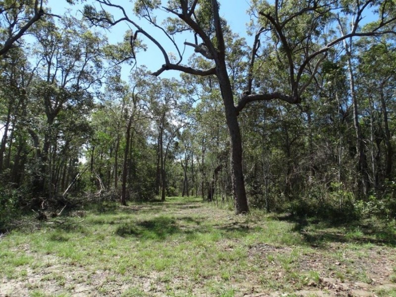 Lot 9 Muller Road, Baffle Creek QLD 4674