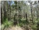 Lot 9 Muller Road, Baffle Creek QLD 4674