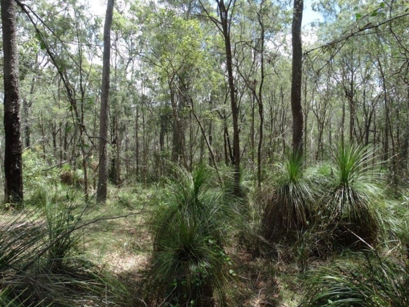 Lot 9 Muller Road, Baffle Creek QLD 4674